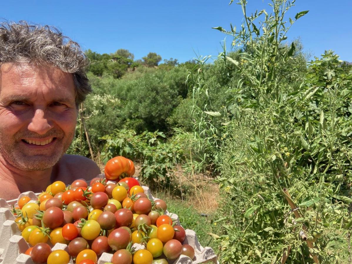 Ecovita Agri-Glamping Otel San Vito Lo Capo Dış mekan fotoğraf